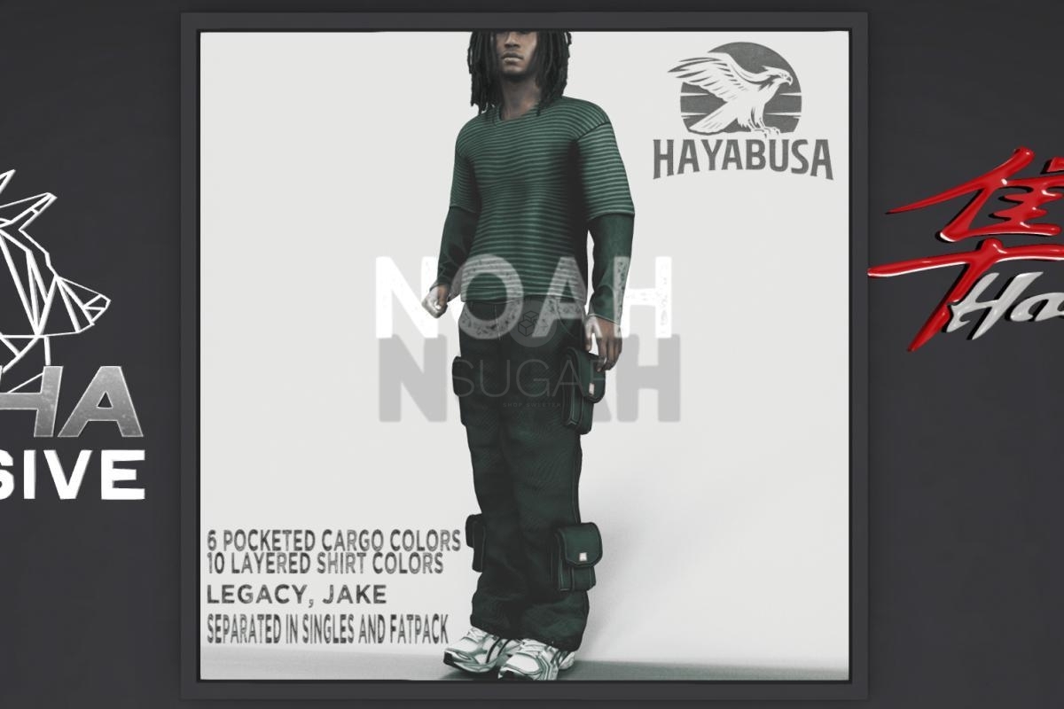 HAYABUSA_001