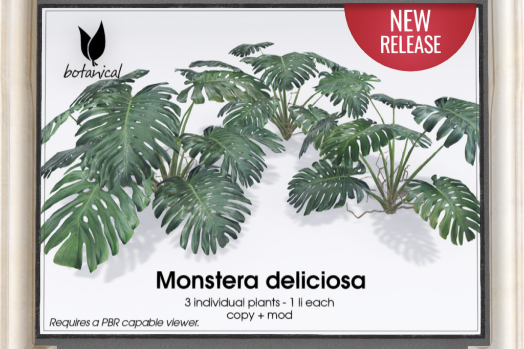 Monstera Deliciosa Plants, L$399