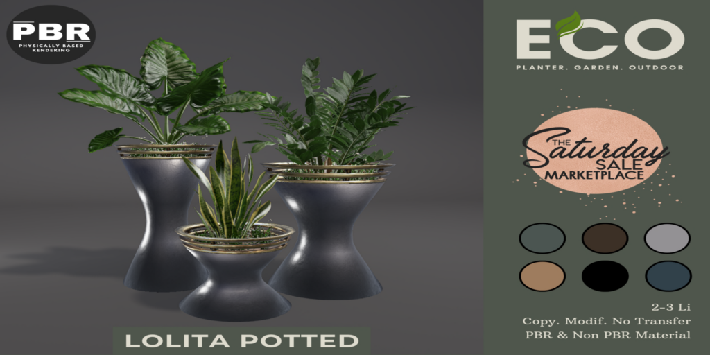 Lolita Potted Plants