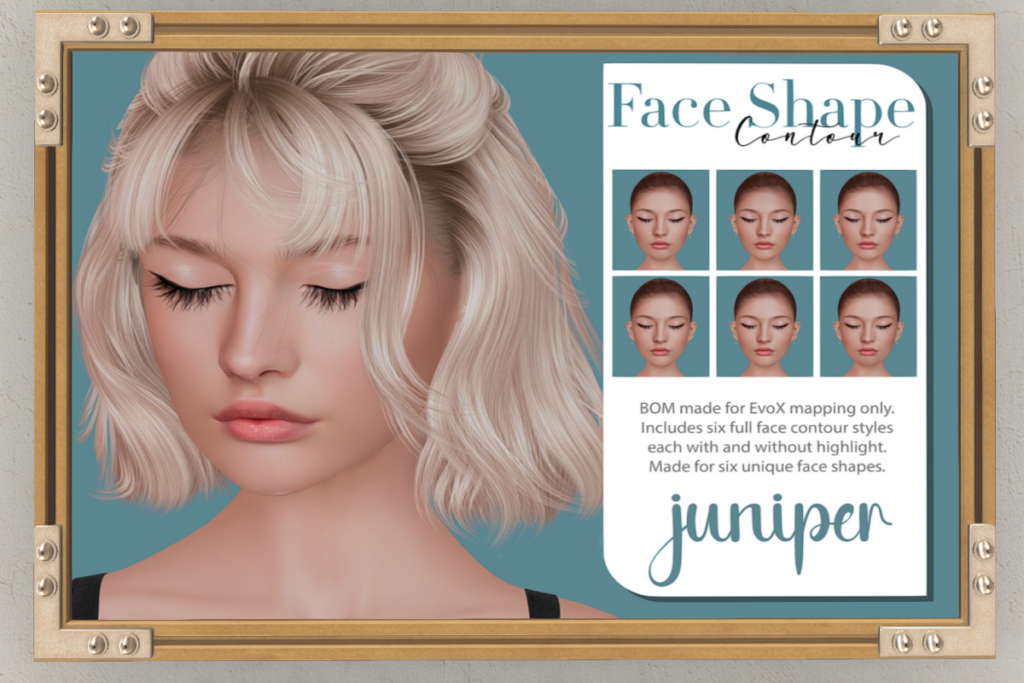 Face Shape Contour - EvoX, L$195