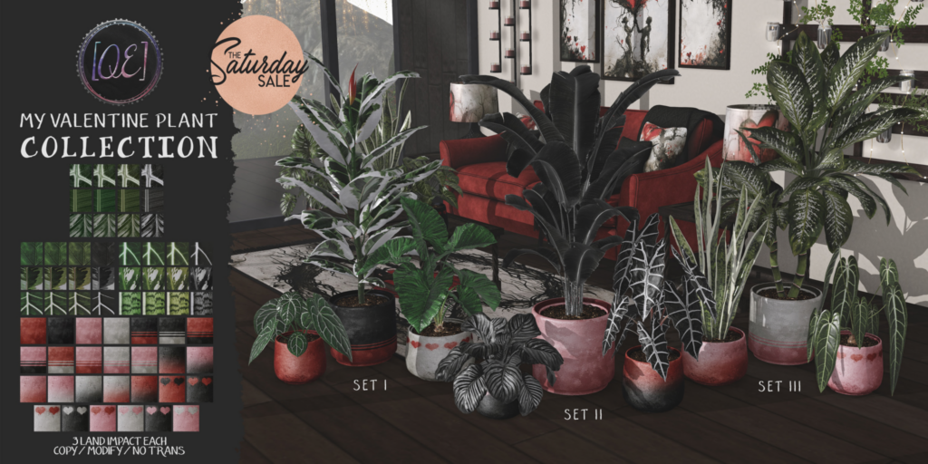 My Valentine Plant Collection