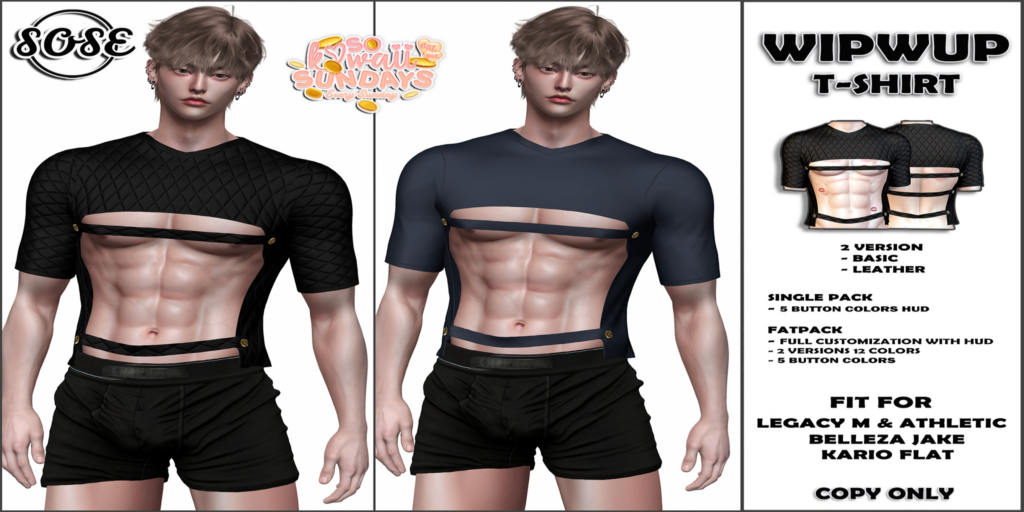 WipWup T-Shirt - Jake/Kario Flat/Legacy/+mods	&lt;a href=&quot;http://maps.secondlife.com/secondlife/Crystal%20Valley/80/123/2101&quot;&gt;Teleport&lt;/a&gt;