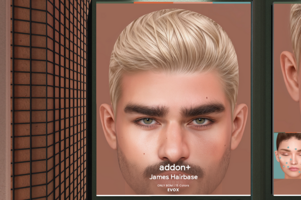 James Hairbase - EvoX, L$300