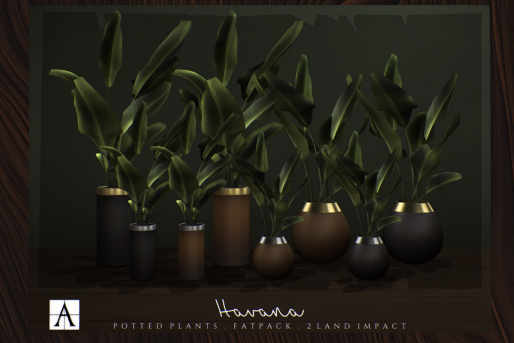 Havana Potted Plants, L$399