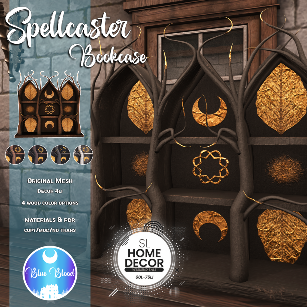 Spellcaster Bookcase