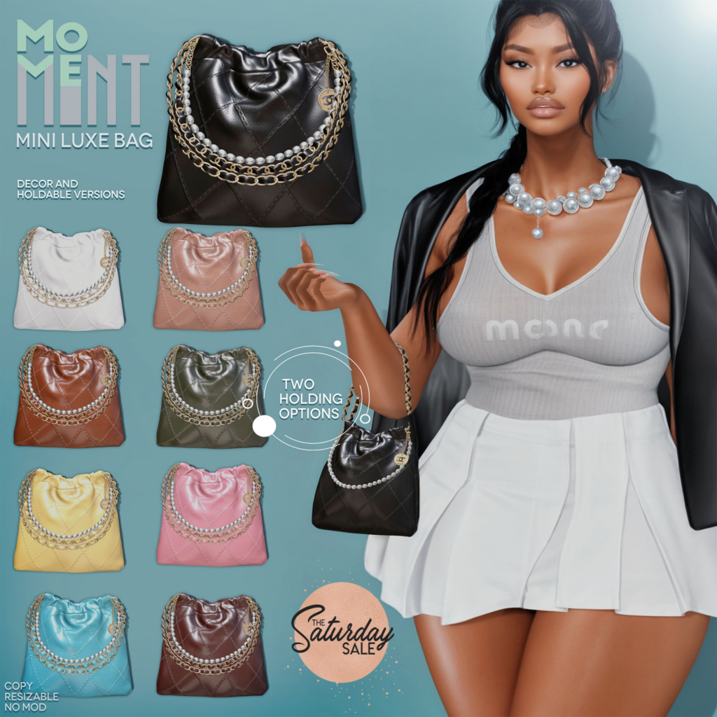 Mini Luxe Bag Decor &amp; Holdable	&lt;a href=&quot;http://maps.secondlife.com/secondlife/Silverhollow/112/213/802&quot;&gt;Teleport&lt;/a&gt;