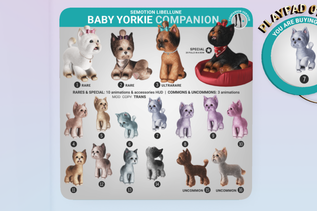 Baby Yorkie, L$85 per pull