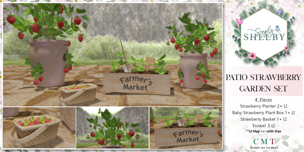 Patio Strawberry Garden Set