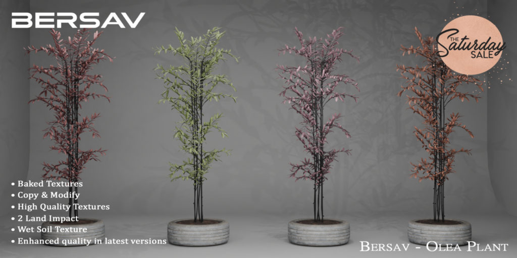 Olea Plant Decor	&lt;a href=&quot;http://maps.secondlife.com/secondlife/Alyssum%20Island/73/224/2002&quot;&gt;Teleport&lt;/a&gt;