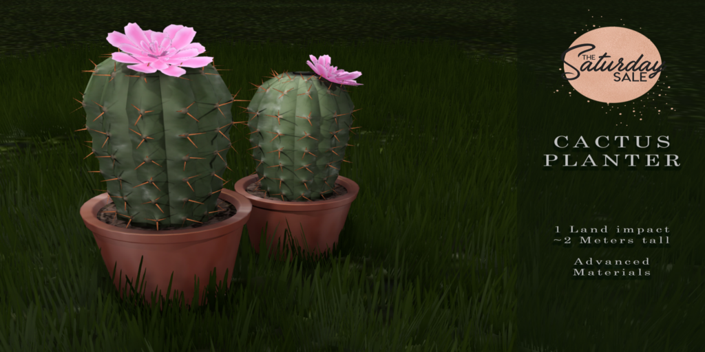 Cactus Planter	&lt;a href=&quot;http://maps.secondlife.com/secondlife/Black%20Hollow/141/133/23&quot;&gt;Teleport&lt;/a&gt;